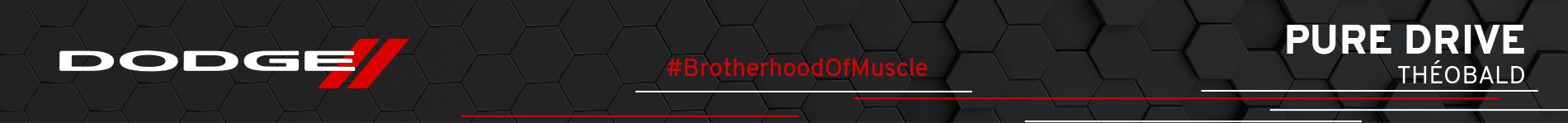 Groupe Théobald - Dodge Metz, Nancy